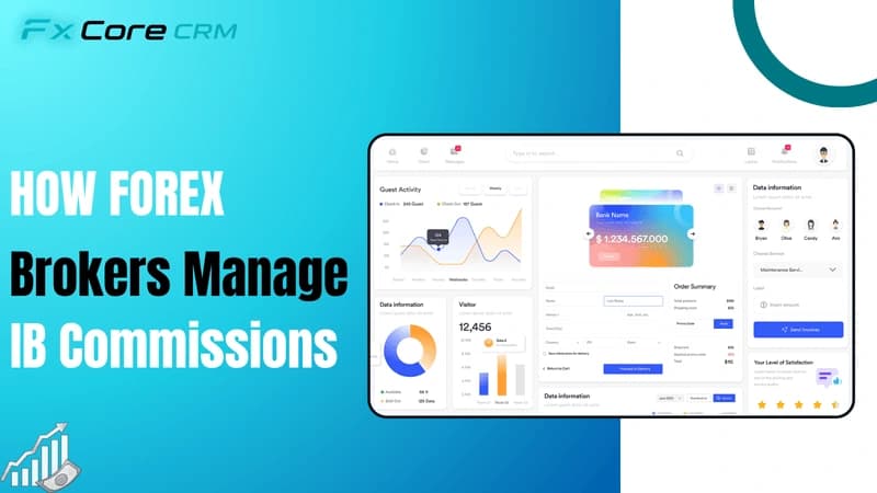 How Forex Brokers Manage IB Commissions